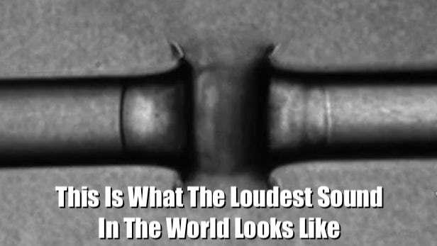 Loudest sound in the world image