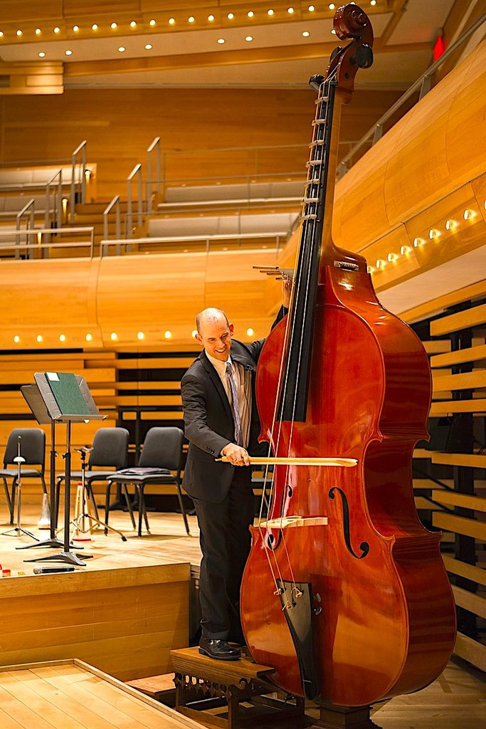 The octobass of the Montreal Symphony Orchestra image