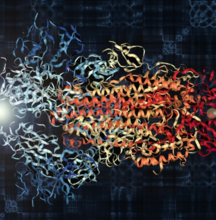Coronavirus spike protein image