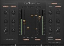 PSP Levelizer
